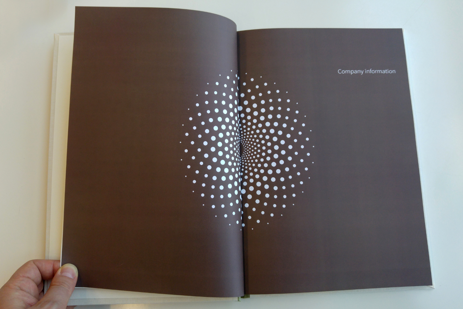 Section divider pages of Bee'ah reports showing application of logo design as graphic device